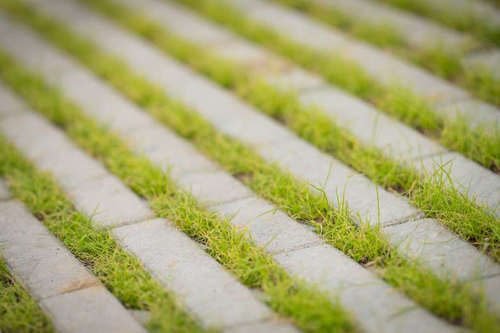 Berijdbaar gazon - TerraViva - toepassing